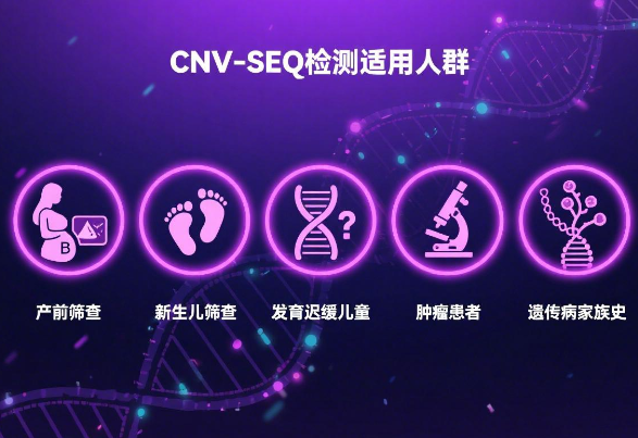 适用人群