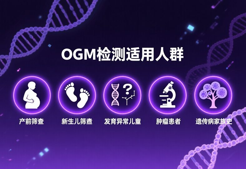 适用人群
